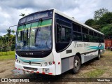 Puma Pardo 00 na cidade de Siquirres, Siquirres, Limón, Costa Rica, por Yliand Sojo. Número da foto: #:id.