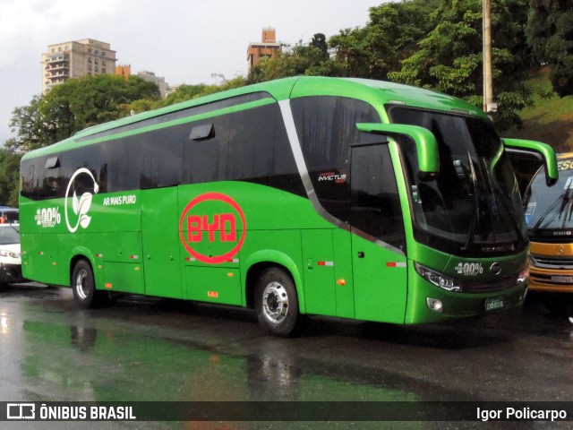 Trans Wolff Transportes e Turismo 0310 na cidade de São Paulo, São Paulo, Brasil, por Igor Policarpo. Número da foto: #9717938.