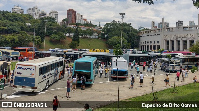 Peru Turismo 560 na cidade de São Paulo, São Paulo, Brasil, por Espedito de Brito Gomes. Número da foto: #9717982.
