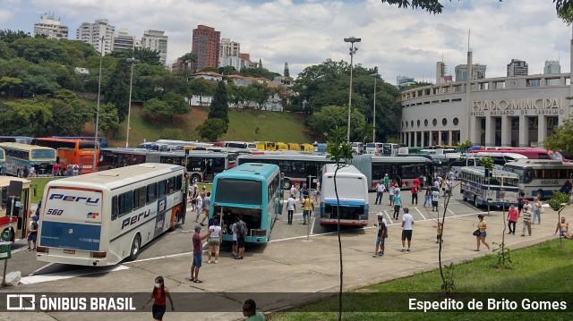 Peru Turismo 560 na cidade de São Paulo, São Paulo, Brasil, por Espedito de Brito Gomes. ID da foto: 9717982.