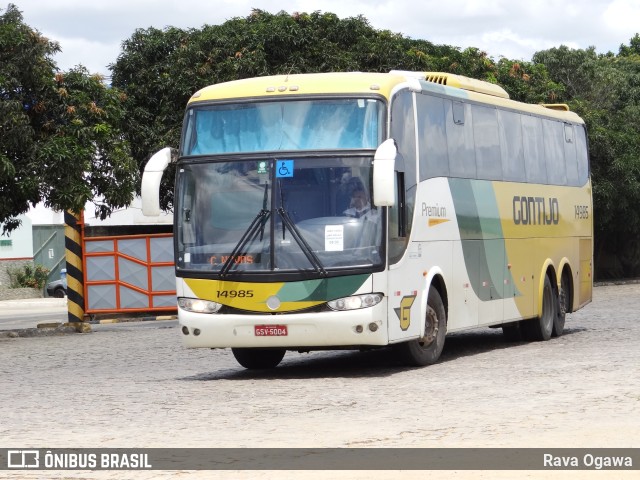 Empresa Gontijo de Transportes 14985 na cidade de Vitória da Conquista, Bahia, Brasil, por Rava Ogawa. ID da foto: 9721597.