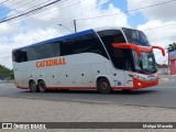 Catedral Turismo 18231 na cidade de Arapiraca, Alagoas, Brasil, por Melqui Macedo. Número da foto: #:id.