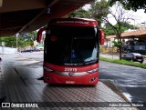 Viação Santa Cruz 25919 na cidade de Três Corações, Minas Gerais, Brasil, por Fábio Mateus Tibúrcio. Número da foto: #9728812.