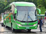 Trans Wolff Transportes e Turismo 0310 na cidade de São Paulo, São Paulo, Brasil, por Guilherme Estevan. Número da foto: #9735894.