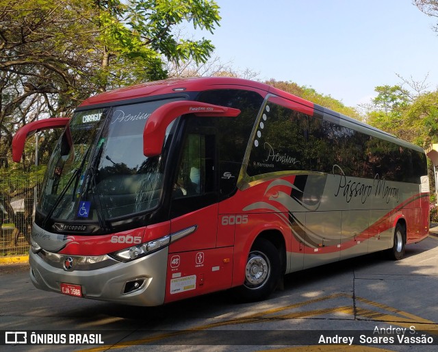 Empresa de Ônibus Pássaro Marron 6005 na cidade de São Paulo, São Paulo, Brasil, por Andrey  Soares Vassão. Número da foto: #9818372.