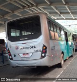 Rosa Turismo Mairiporã 13512 na cidade de Mairiporã, São Paulo, Brasil, por Andre Santos de Moraes. Número da foto: #:id.