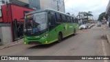 Pássaro Verde 15122 na cidade de Barão de Cocais, Minas Gerais, Brasil, por Edi Carlos Jr Edi Carlos. Número da foto: #:id.