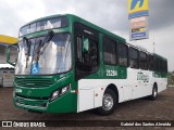 OT Trans - Ótima Salvador Transportes 21284 na cidade de Botucatu, São Paulo, Brasil, por Gabriel dos Santos Almeida. Número da foto: #:id.