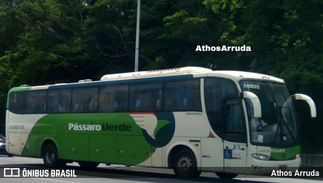 Pássaro Verde 29020 na cidade de Belo Horizonte, Minas Gerais, Brasil, por Athos Arruda. Número da foto: #9826370.
