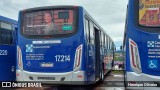 Transportes Capellini 17.214 na cidade de Vinhedo, São Paulo, Brasil, por Henrique Oliveira. ID da foto: :id.