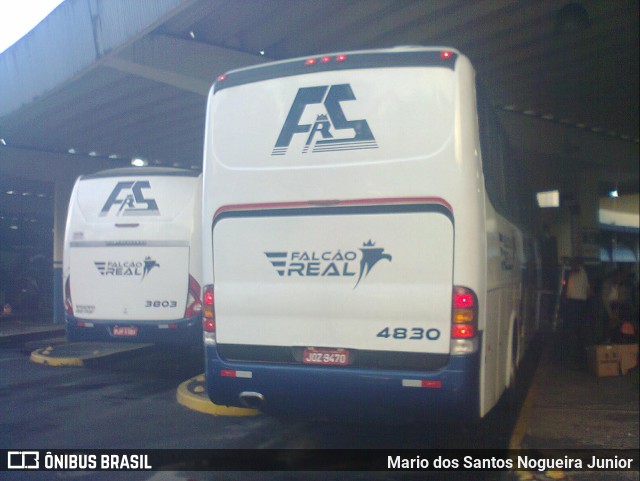 Falcão Real 4830 na cidade de Salvador, Bahia, Brasil, por Mario dos Santos Nogueira Junior. Número da foto: #9835318.