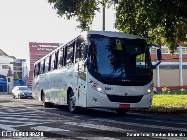 Pontual Sul Transporte e Turismo 6065 na cidade de Botucatu, São Paulo, Brasil, por Gabriel dos Santos Almeida. Número da foto: #9833936.