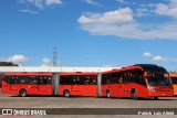 Araucária Transportes Coletivos LE702 na cidade de Curitiba, Paraná, Brasil, por Patrick  Luis Aifeld. Número da foto: #9835844.
