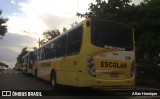Rápido Sumaré 039 na cidade de Paulínia, São Paulo, Brasil, por Allan Henrique. Número da foto: #9836138.