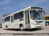 Auto Viação São Braz 21297 na cidade de Curitiba, Paraná, Brasil, por Wagner Domingos Ivanesken. Número da foto: #9835082.