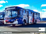 Transportes Capellini 19.033 na cidade de Hortolândia, São Paulo, Brasil, por Henrique Alves de Paula Silva. Número da foto: #9838310.