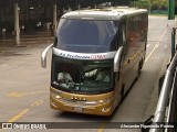 La Preferida Bus 0133 na cidade de São Paulo, São Paulo, Brasil, por Alexandre Figueiredo Pereira. Número da foto: #9843727.