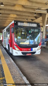 Suzantur Diadema 1217 na cidade de Diadema, São Paulo, Brasil, por Felipe Pereira Evangelista. Número da foto: #9794840.