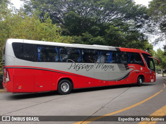 Empresa de Ônibus Pássaro Marron 5823 na cidade de São Paulo, São Paulo, Brasil, por Espedito de Brito Gomes. ID da foto: 9845754.