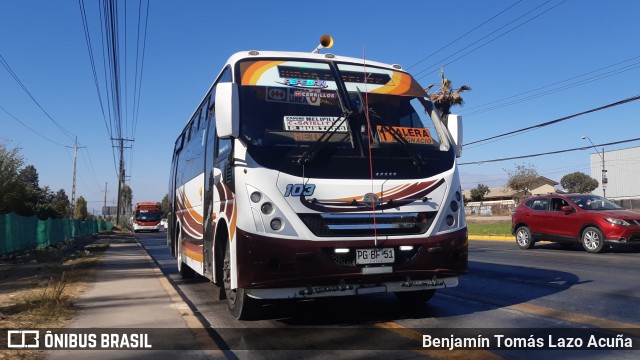 Bupesa 103 na cidade de Maipú, Santiago, Metropolitana de Santiago, Chile, por Benjamín Tomás Lazo Acuña. ID da foto: 9853344.