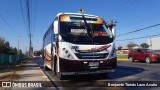 Bupesa 103 na cidade de Maipú, Santiago, Metropolitana de Santiago, Chile, por Benjamín Tomás Lazo Acuña. Número da foto: #9853344.