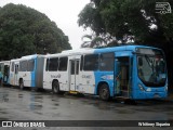 Unimar Transportes 24250 na cidade de Serra, Espírito Santo, Brasil, por Whitiney Siqueira. Número da foto: #9855169.