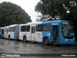 Unimar Transportes 24250 na cidade de Serra, Espírito Santo, Brasil, por Whitiney Siqueira. ID da foto: :id.