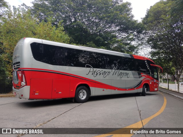 Empresa de Ônibus Pássaro Marron 6004 na cidade de São Paulo, São Paulo, Brasil, por Espedito de Brito Gomes. Número da foto: #9858100.