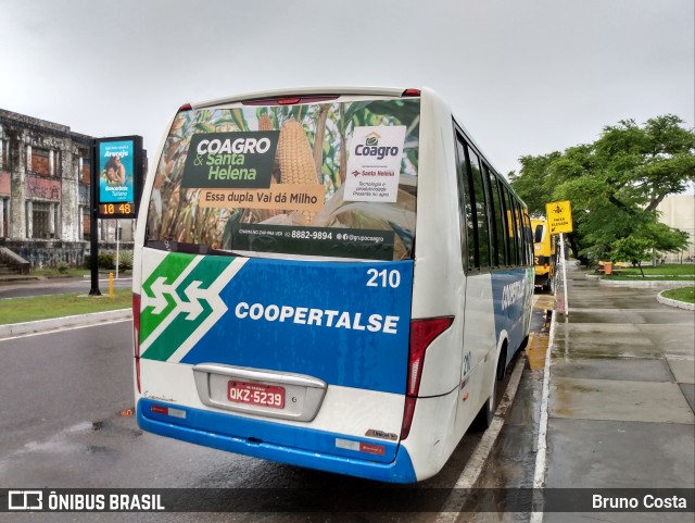 Coopertalse 210 na cidade de Aracaju, Sergipe, Brasil, por Bruno Costa. Número da foto: #9856831.