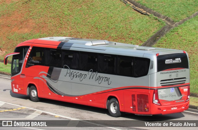 Empresa de Ônibus Pássaro Marron 5937 na cidade de São José dos Campos, São Paulo, Brasil, por Vicente de Paulo Alves. Número da foto: #9857815.