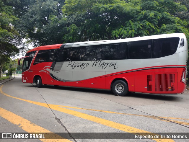 Empresa de Ônibus Pássaro Marron 5934 na cidade de São Paulo, São Paulo, Brasil, por Espedito de Brito Gomes. Número da foto: #9862212.