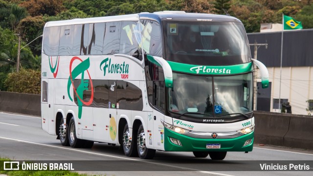 Floresta Turismo 1080 na cidade de Joinville, Santa Catarina, Brasil, por Vinicius Petris. ID da foto: 9865129.