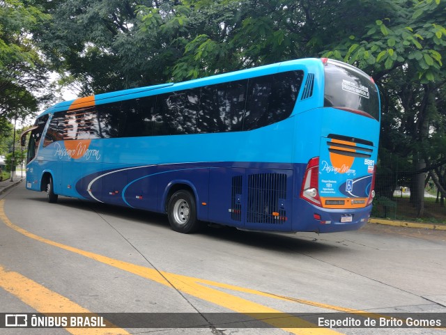 Empresa de Ônibus Pássaro Marron 5981 na cidade de São Paulo, São Paulo, Brasil, por Espedito de Brito Gomes. Número da foto: #9864275.