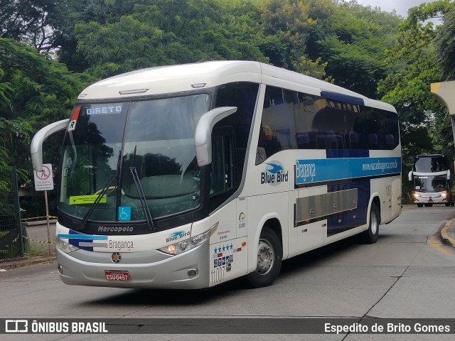Auto Viação Bragança 11.007 na cidade de São Paulo, São Paulo, Brasil, por Espedito de Brito Gomes. Número da foto: #9866402.