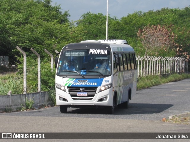 Coopertalse 197 na cidade de Aracaju, Sergipe, Brasil, por Jonathan Silva. Número da foto: #9863452.