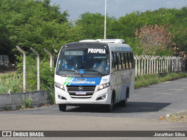 Coopertalse 197 na cidade de Aracaju, Sergipe, Brasil, por Jonathan Silva. ID da foto: 9863452.