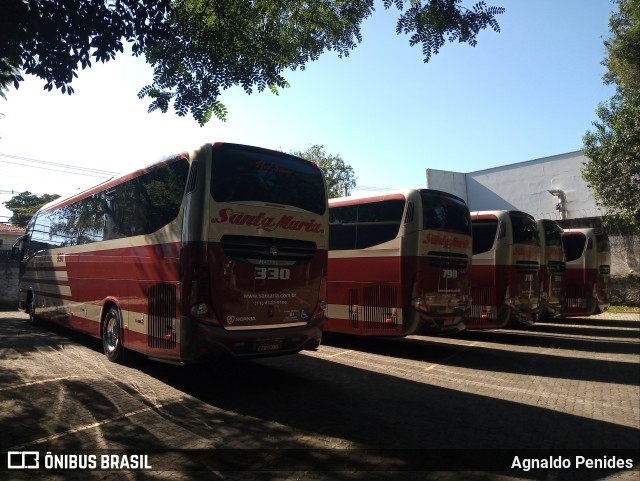 Santa Maria Fretamento e Turismo > Transportes Santa Maria(SP) 330 na cidade de São Paulo, São Paulo, Brasil, por Agnaldo Penides. Número da foto: #9868495.