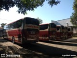 Santa Maria Fretamento e Turismo > Transportes Santa Maria(SP) 330 na cidade de São Paulo, São Paulo, Brasil, por Agnaldo Penides. Número da foto: #9868495.