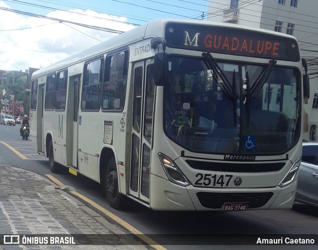 Viação Castelo Branco 25147 na cidade de Curitiba, Paraná, Brasil, por Amauri Caetano. Número da foto: #9871018.
