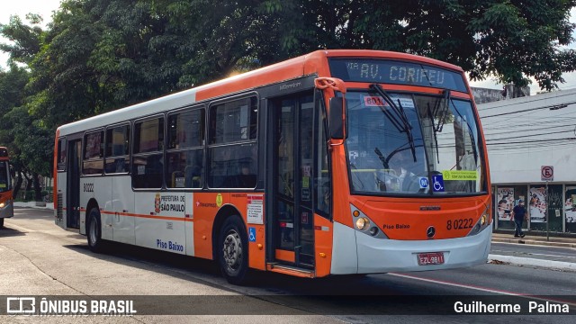 TRANSPPASS - Transporte de Passageiros 8 0222 na cidade de São Paulo, São Paulo, Brasil, por Guilherme  Palma. ID da foto: 9870511.