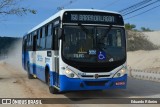 Transol Transportes Coletivos 50342 na cidade de Florianópolis, Santa Catarina, Brasil, por Eduardo Ribeiro. Número da foto: #9870889.
