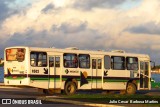 Viação Modelo 9502 na cidade de Aracaju, Sergipe, Brasil, por Julio Cesar  Barbosa Martins. Número da foto: #9869613.