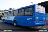 Transol Transportes Coletivos 0299 na cidade de Florianópolis, Santa Catarina, Brasil, por Eduardo Ribeiro. Número da foto: #9870874.
