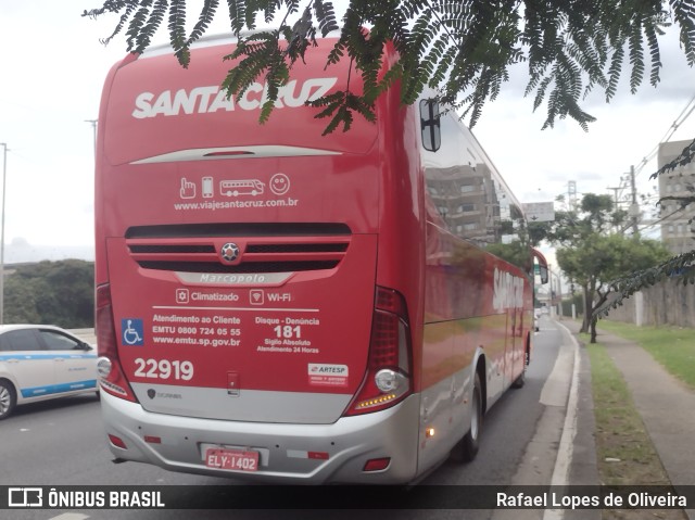 Viação Santa Cruz 22919 na cidade de São Paulo, São Paulo, Brasil, por Rafael Lopes de Oliveira. Número da foto: #9872142.