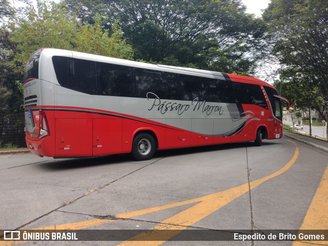 Empresa de Ônibus Pássaro Marron 5927 na cidade de São Paulo, São Paulo, Brasil, por Espedito de Brito Gomes. Número da foto: #9875829.