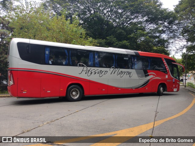 Empresa de Ônibus Pássaro Marron 5821 na cidade de São Paulo, São Paulo, Brasil, por Espedito de Brito Gomes. ID da foto: 9875890.