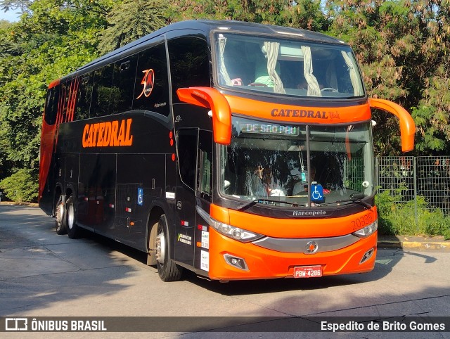 Catedral Turismo 20335 na cidade de São Paulo, São Paulo, Brasil, por Espedito de Brito Gomes. Número da foto: #9802200.