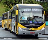 Transportes Capellini 23019 na cidade de São Paulo, São Paulo, Brasil, por Hipólito Rodrigues. ID da foto: :id.