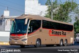 Primera Plus 2658 na cidade de Gustavo A. Madero, Ciudad de México, México, por Omar Ramírez Thor2102. Número da foto: #9813581.