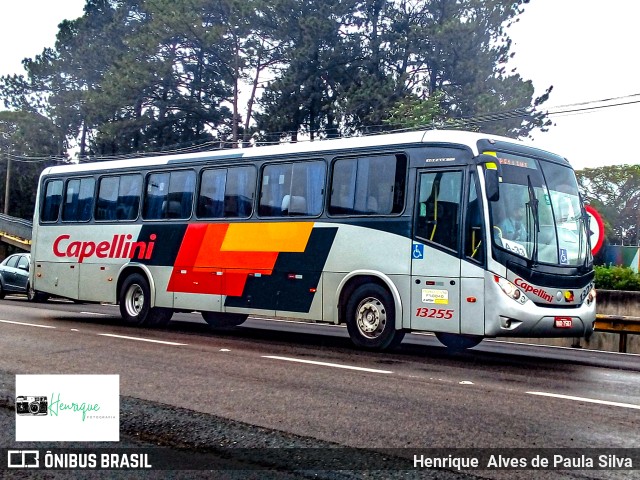 Transportes Capellini 13255 na cidade de Campinas, São Paulo, Brasil, por Henrique Alves de Paula Silva. Número da foto: #9816234.
